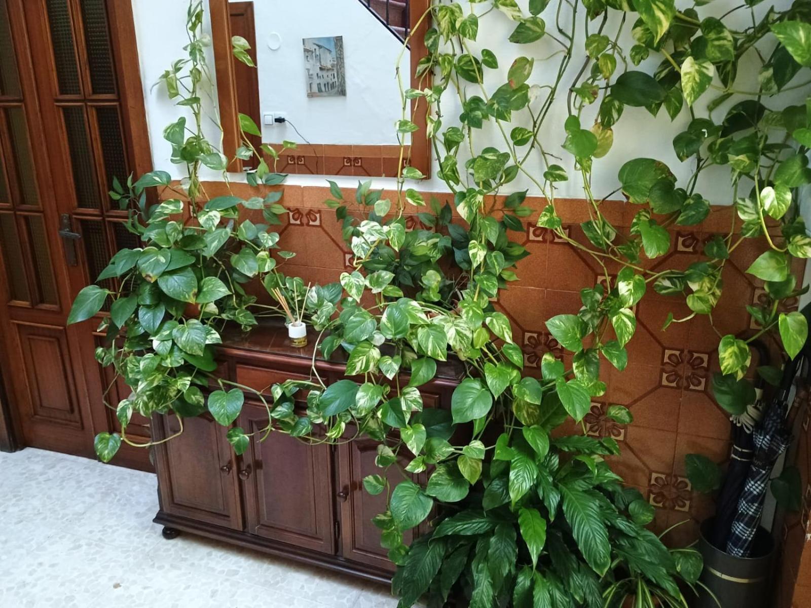Apartamento Casa Matbel Córdoba Exterior foto
